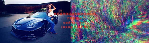 молекула духа Осинники