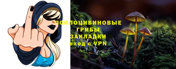 молекула духа Осинники